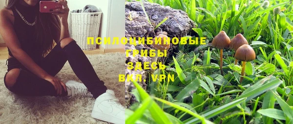 2c-b Протвино