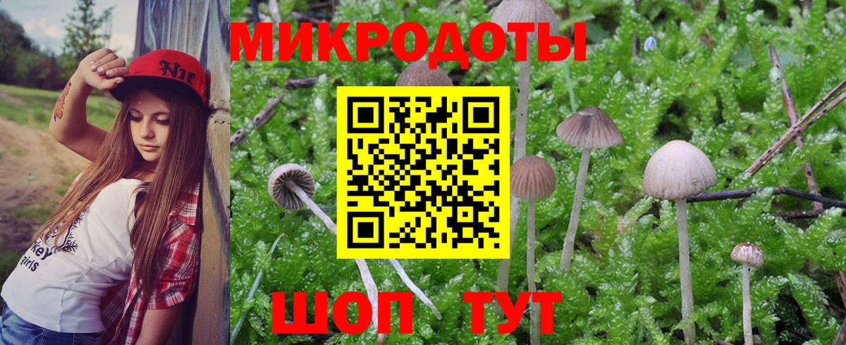 Каменск-Уральский  закладки  Галлюциногенные грибы прущие грибы  Вход с VPN  Псилоцибиновые грибы ЛСД 